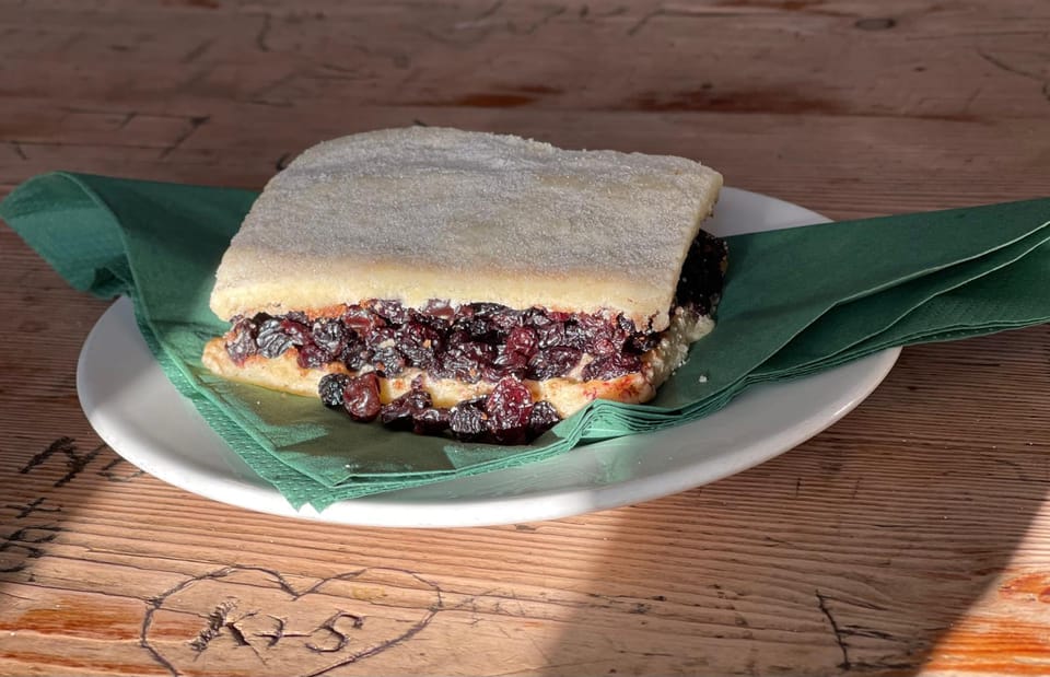 Fly Pie or Flylady❓